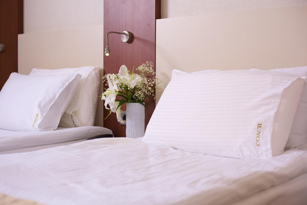 Otel The Coach 3*
